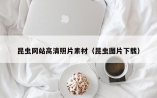 海西昆虫网站高清照片素材（昆虫图片下载）